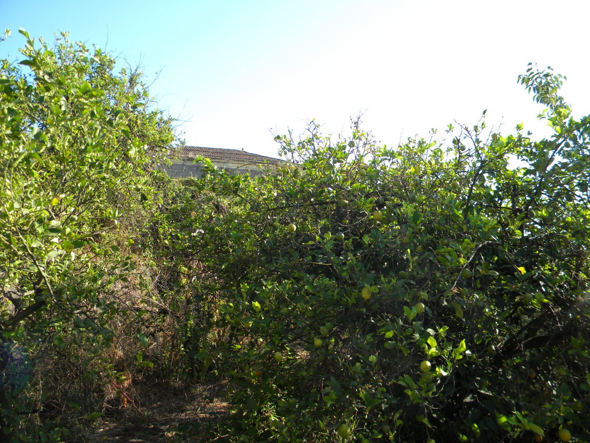 DSCN8092 .JPG